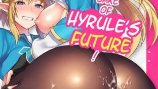 hyrule hanei no tame no katsudou activities for the sake of hyrule s future cover
