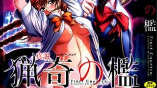 shinsetsu ryouki no ori first chapter cover