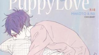 puppy love cover