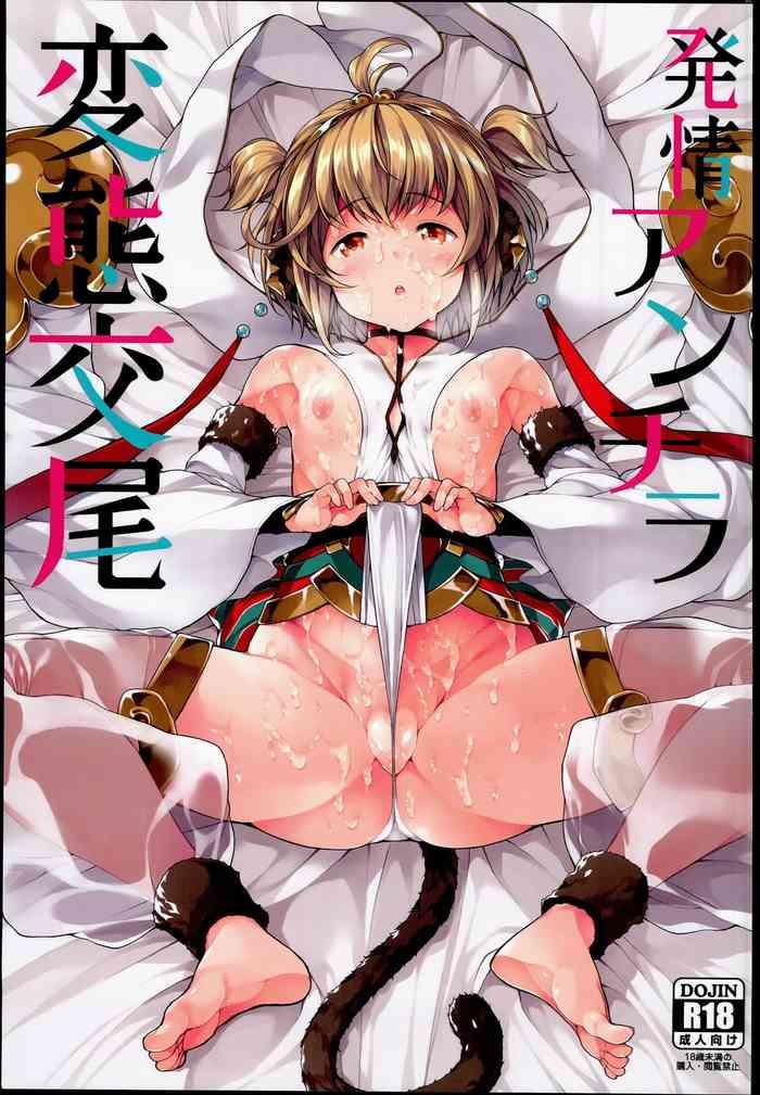 hatsujou andira hentai koubi cover