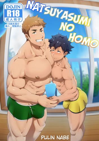 natsuyasumi no homo cover 1