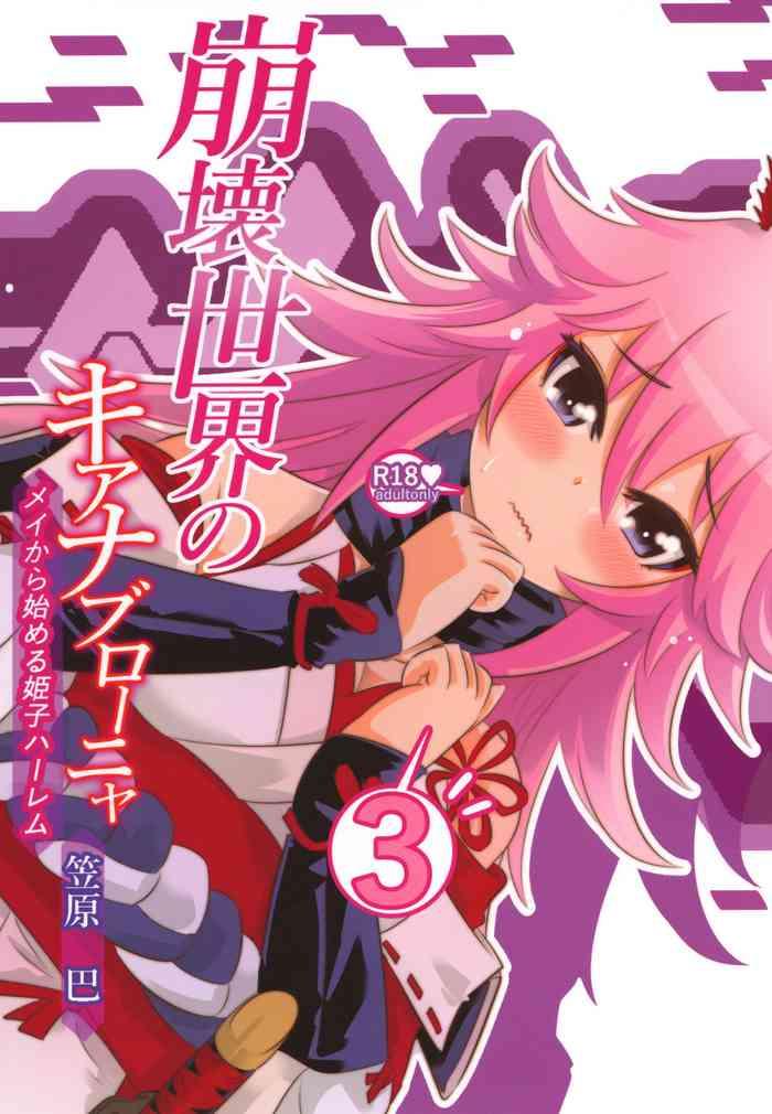 himeko harem 3 starting with the honkai world of kiana bronya cover