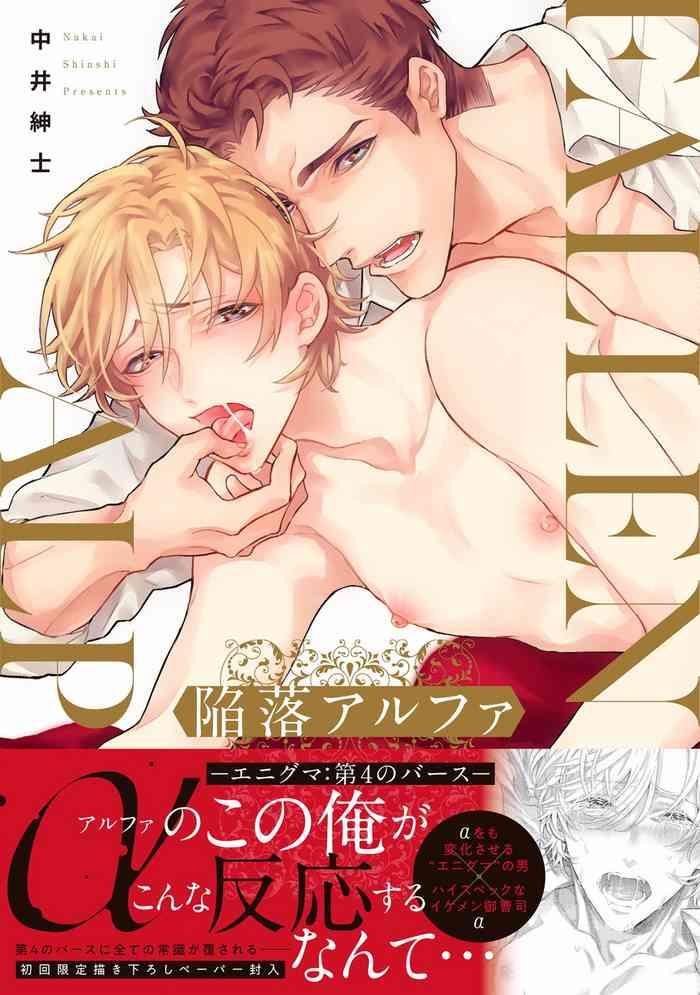 nakai shinshi kanraku alpha enigma dai 4 no verse enigma 4 1 2 chinese digital cover