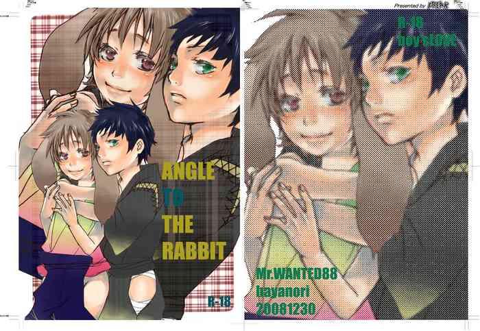 angle to the rabbit cover