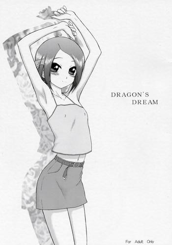 dragon x27 s dream cover