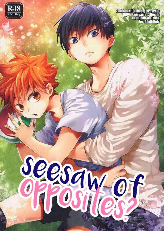 sakasama seesaw seesaw of opposites cover