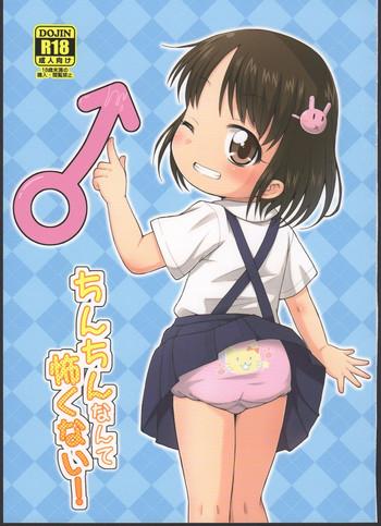 chinchin nante kowakunai cover