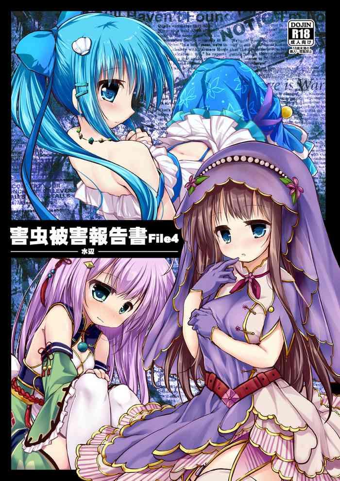 gaichuu higai houkokusho file 4 cover