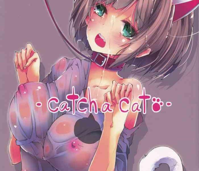 catch a cat cover