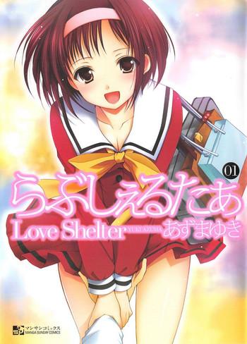 love shelter cover