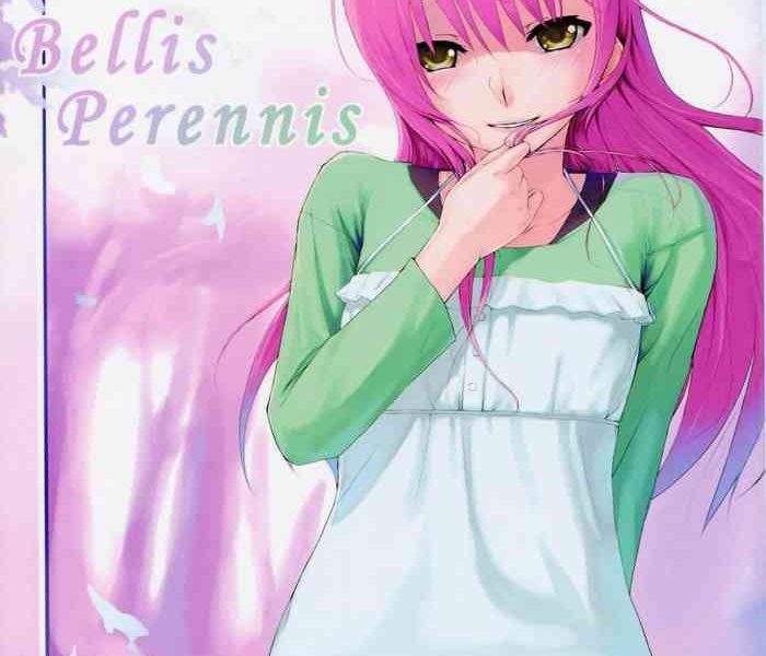 bellis perennis cover